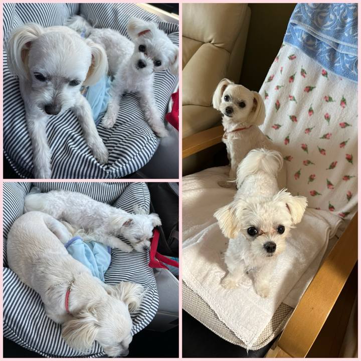 F5f86e32 f742 4033 8f26 819248cc11a5 1716285596127