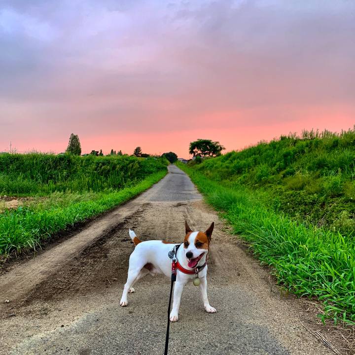 F5f8784b bd62 475f baba e5f8735e59b6 1567247045806