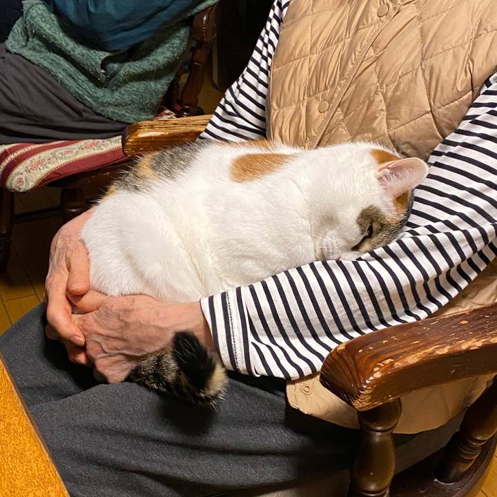 F5f89aa9 10a2 4295 b7a9 3c9474628ed1 1761390149035