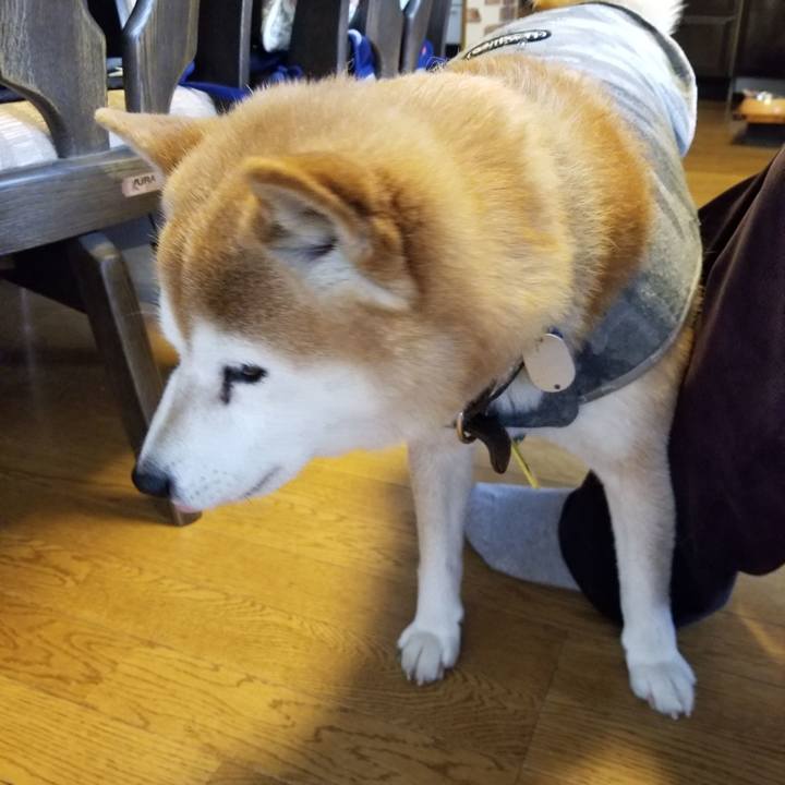 F5f8a6e3 df53 46e0 beb2 927911e0561b 1645419606946