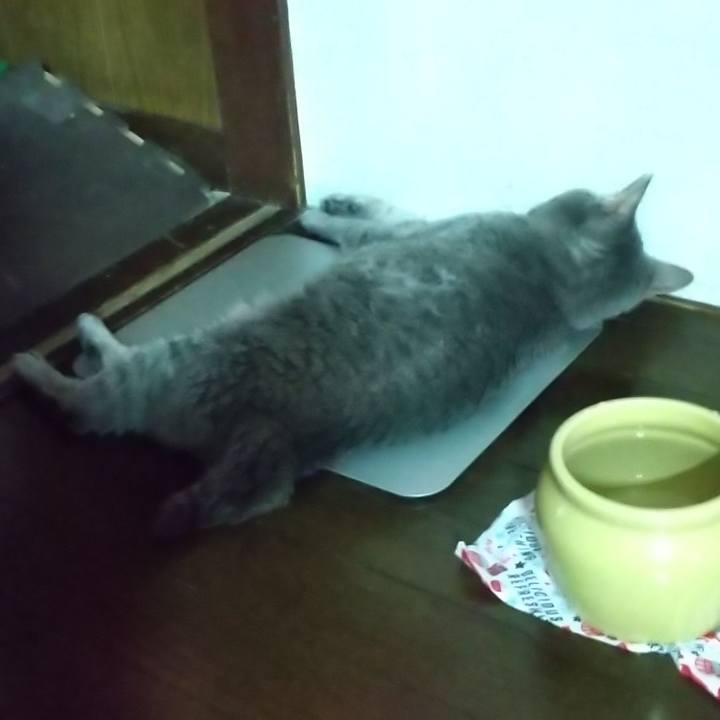 F5f8cda7 0999 4844 b500 6b77cf407e2e 1723046910505