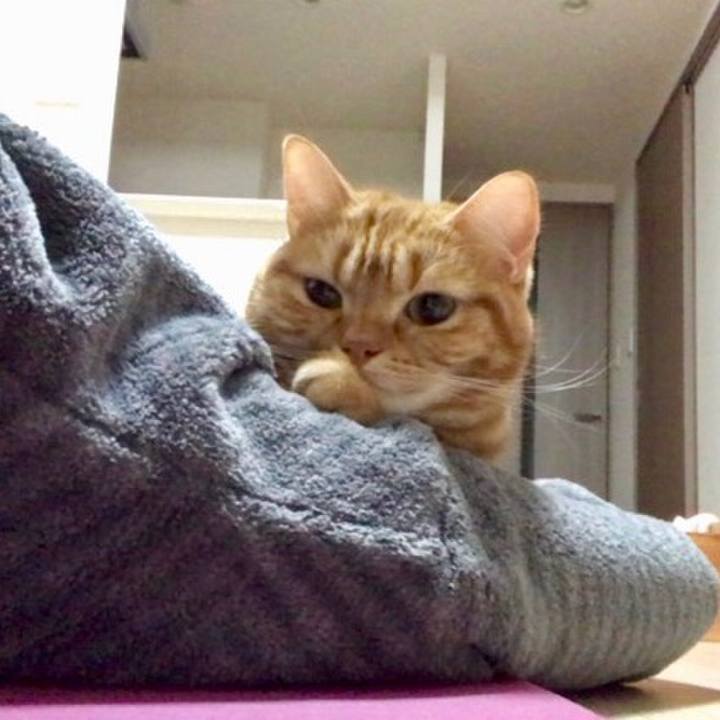 F5f918fc 5566 4ef9 bb96 a618bae2d857 1541332313334