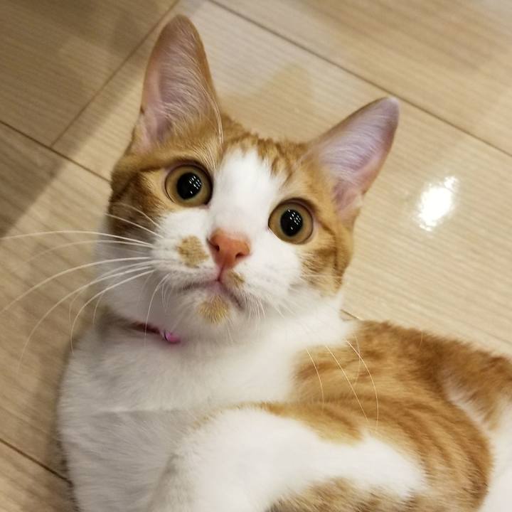 F5f925a1 7ef6 4358 9d0d b9232caca468 1518789890483