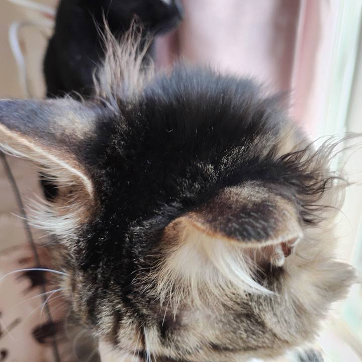 F5f9395b a6dc 476c b588 e407aa61d684 1774883039213