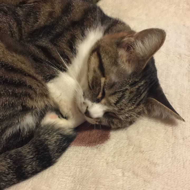 F5f9856e 15e6 474e a741 739705b8eda4 1575199737018