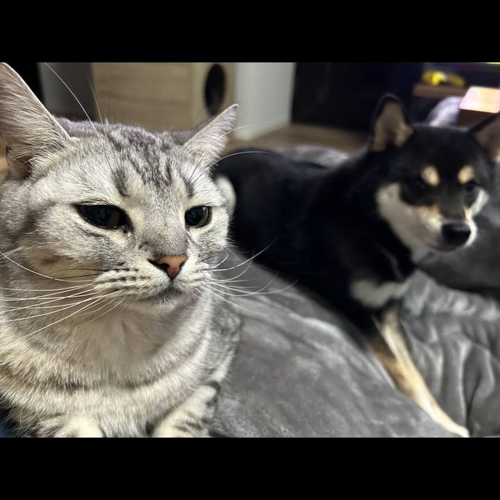 F5f9b2ce a644 4247 a9d8 d1366063da23 1683382013164