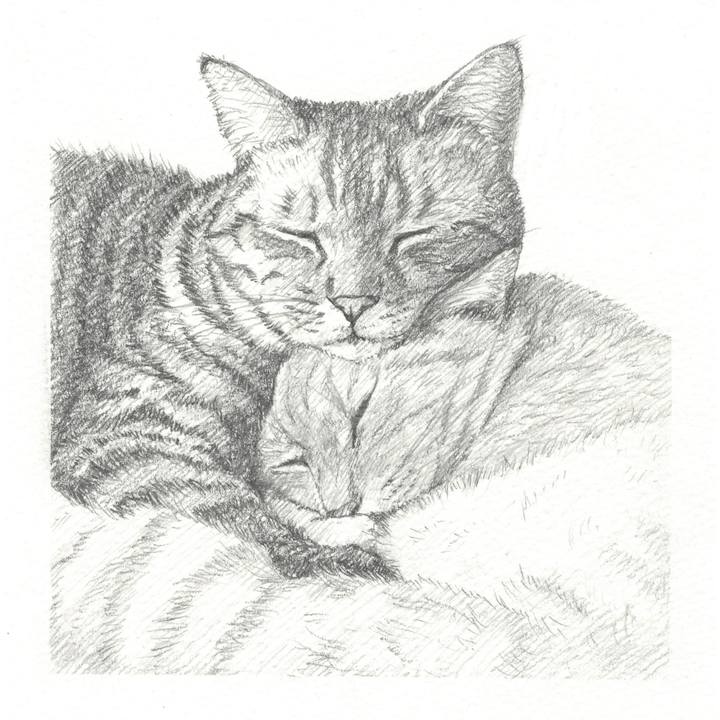 F5f9e7b2 67d3 4bca be90 9fdf0fb67ea1 1542977493142