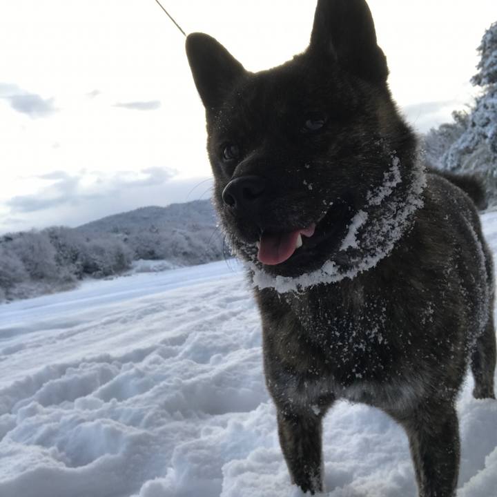 F5fa207d ec06 44f0 8380 1206358f4f1e 1515714053407