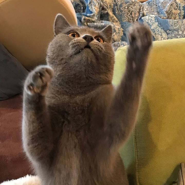 F5fa3234 3f50 479b a90b f0f76fcb7f13 1575855693728