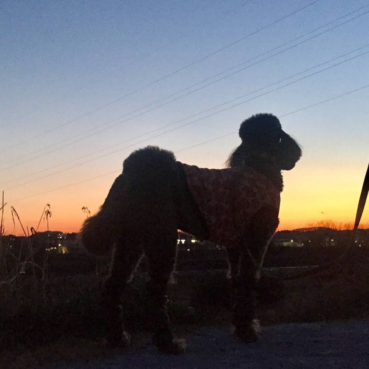 F5fa37d9 7d50 4008 8c7d a0de7d08985f 1547476479259