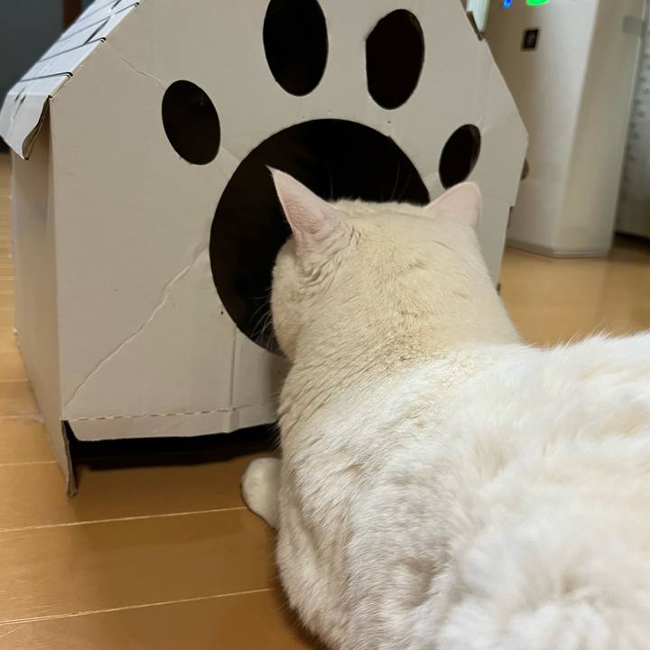 F5fa3f8a 430b 442f a59f f57497444420 1702645211833