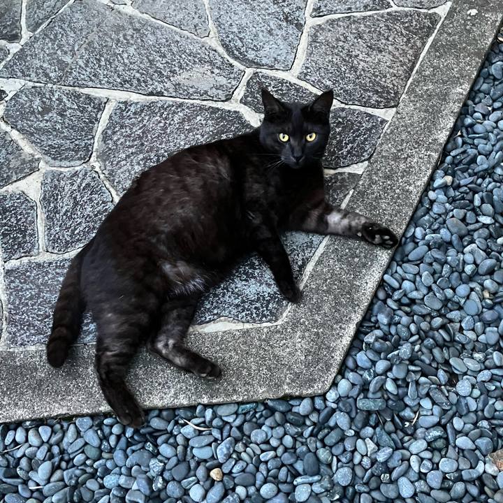 F5fab445 779d 47ca 898c 83307947b323 1764109711384