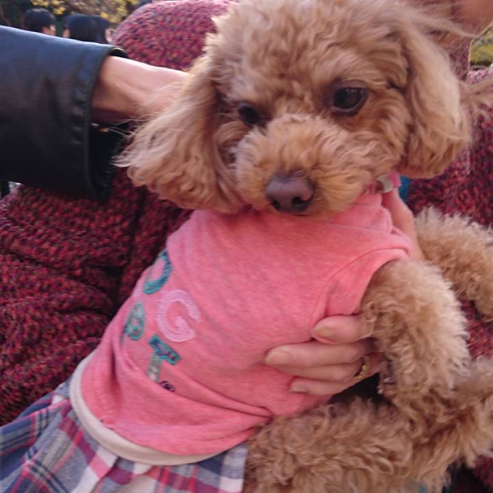 F5fab4c8 80cc 443a b867 d5c51db026b4 1511696013293