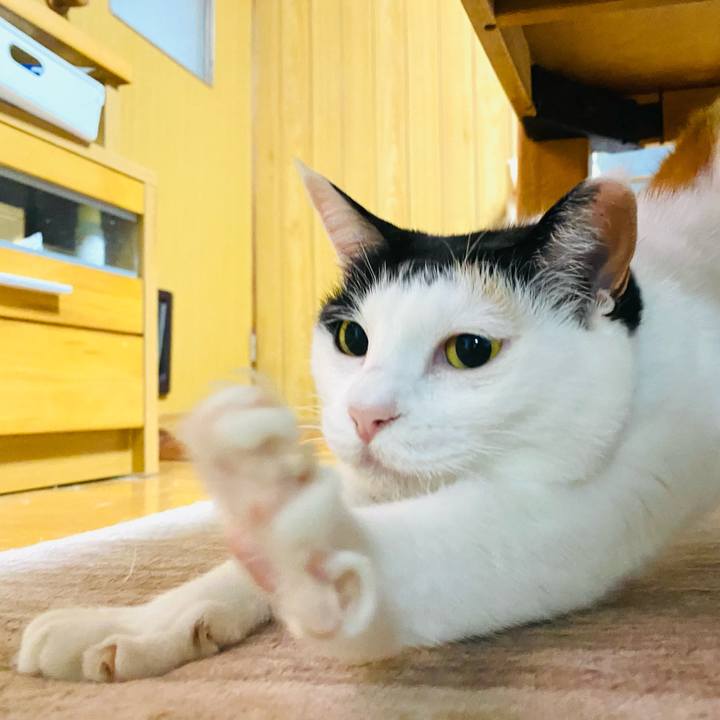 F5fb0bab daa1 473c 941d 99b8ef040186 1717249351799