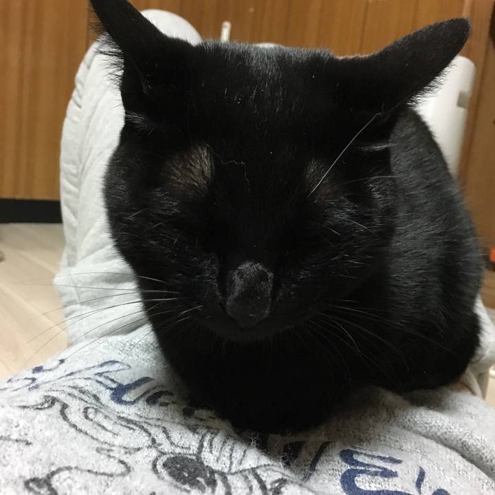 F5fb1771 3099 4cba a851 586afa3fa177 1511011572342