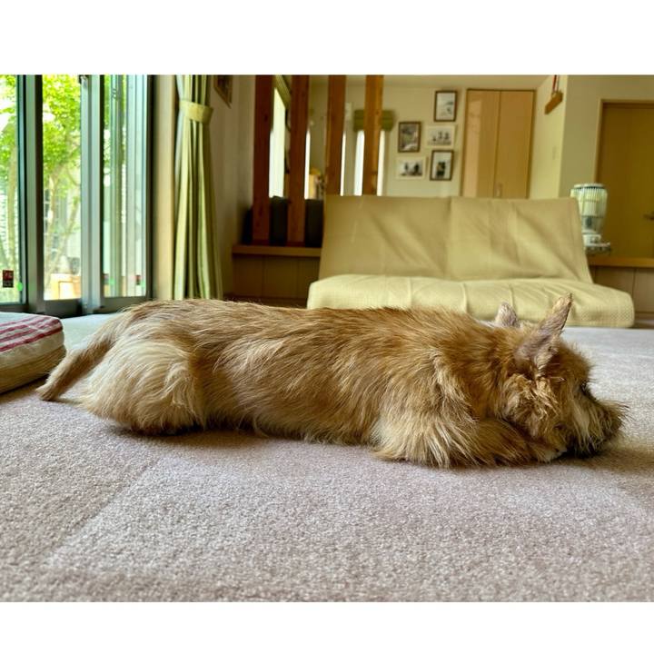 F5fb22e2 8b99 4572 a791 78e7fa4bf621 1714886588607