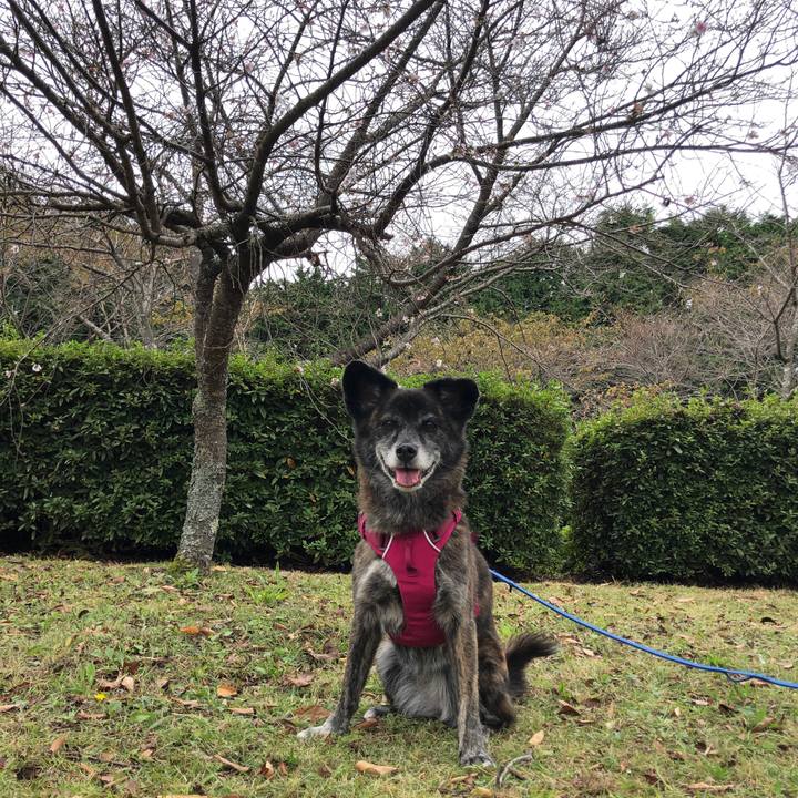 F5fb302f bb13 41fa 9a6c a4912cf74965 1640302223238