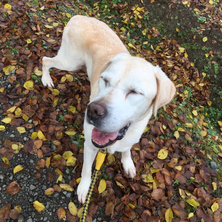 F5fb67a9 6289 4ea3 bbe3 f59fc9a2153a 1542153075055