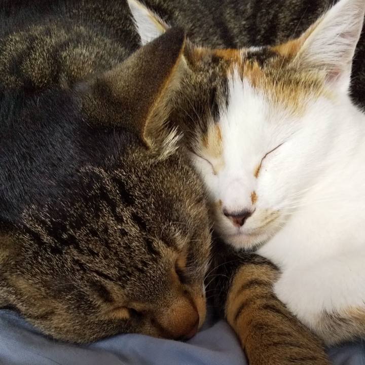 F5fb7a73 38cc 4189 b379 339e3e42d932 1653091206914