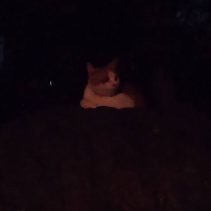 F5fb99b8 06bc 42f8 bda9 5dd1e48b1907 1752064894543