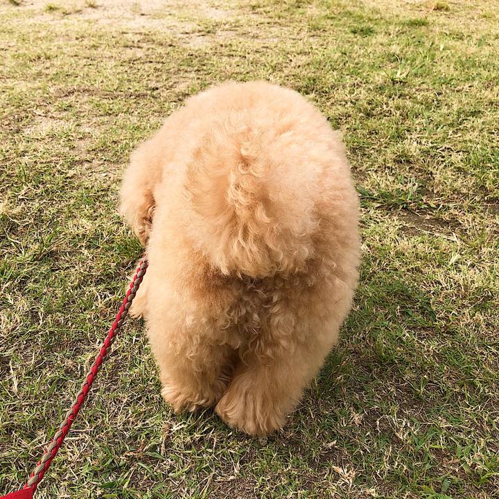 F5fb9bd6 5e44 4de5 9d7d 55843bc7d1f5 1570270462890