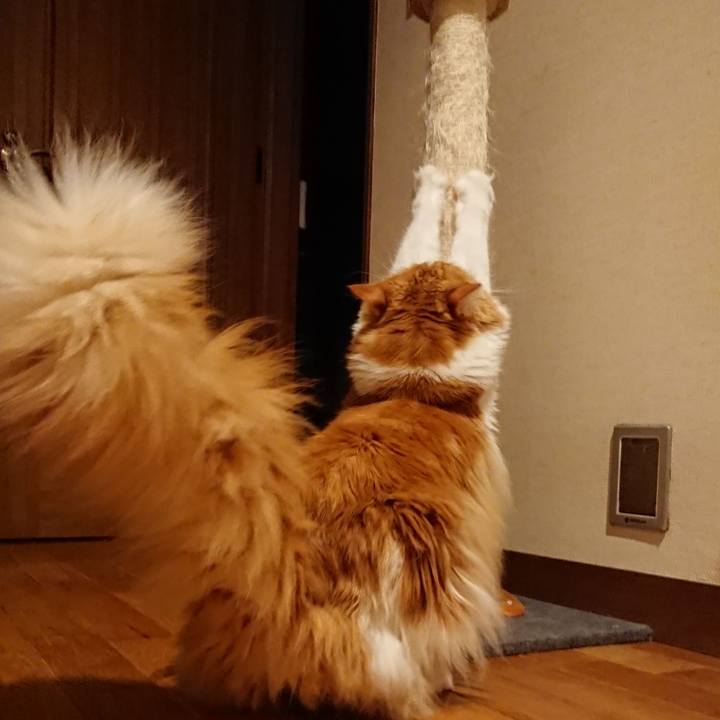 F5fbde75 7fdb 44fa a780 c3c2d892749b 1565921199890