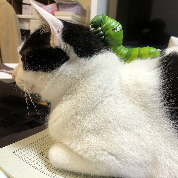 F5fbdeb1 f5aa 4a9e 8cd9 2dc3e4d9adf2 1619581143111