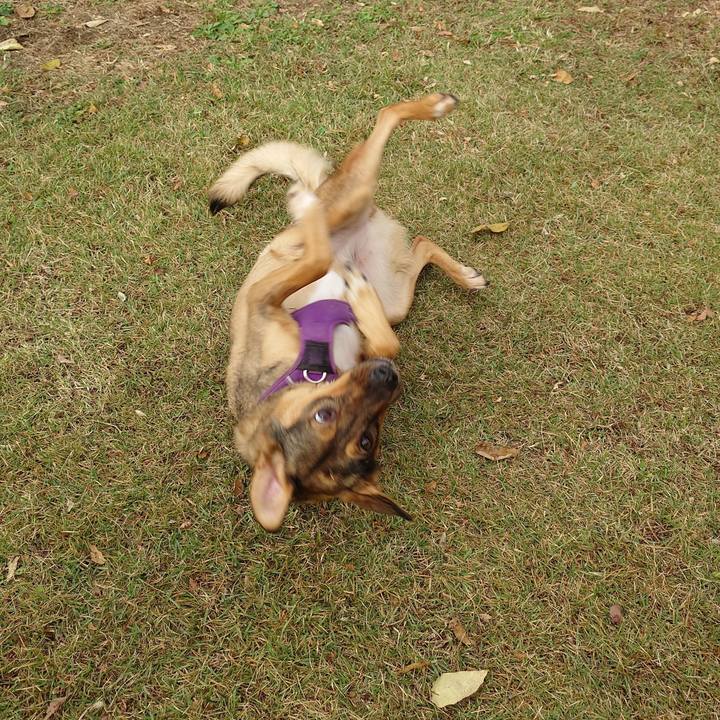 F5fc2bed 1805 463d a0c4 1bce2bb46df2 1731720875946