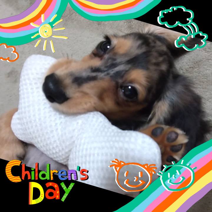 F5fc72c7 d516 43e5 ab7e 8fa55ff78597 1699754411455