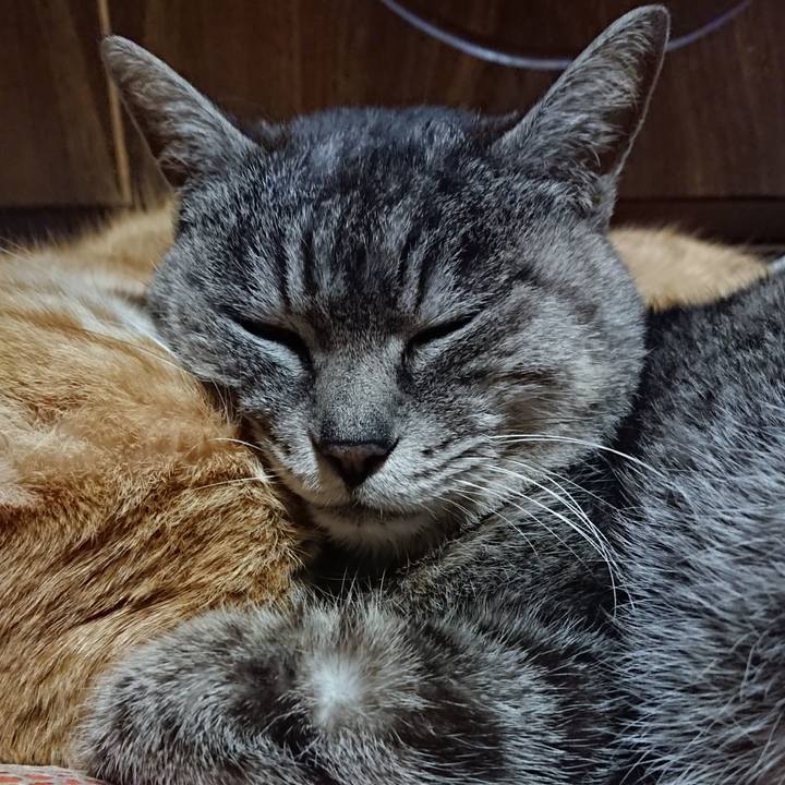 F5fc88e1 9daa 4020 8398 67761b4cd862 1584449905715