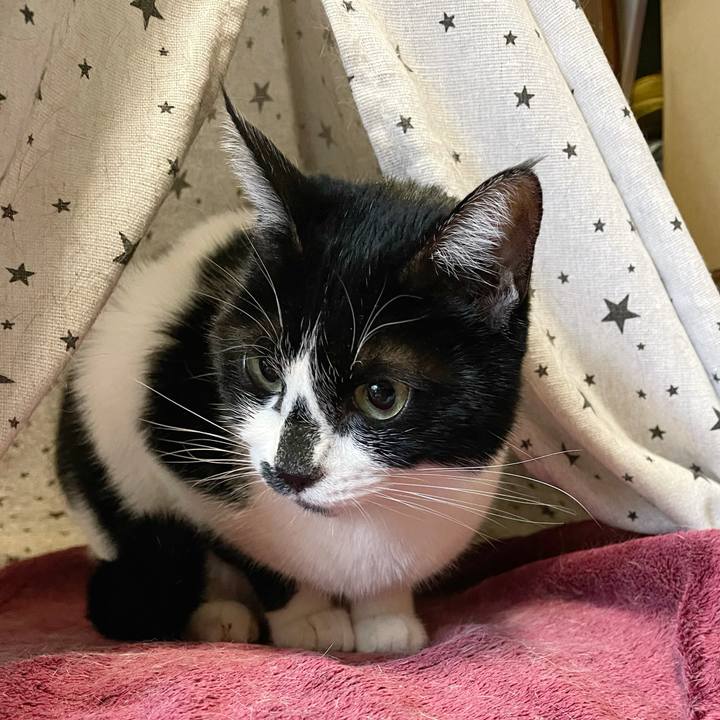 F5fc95c0 1321 4795 95a1 462f4b360f32 1767912593814