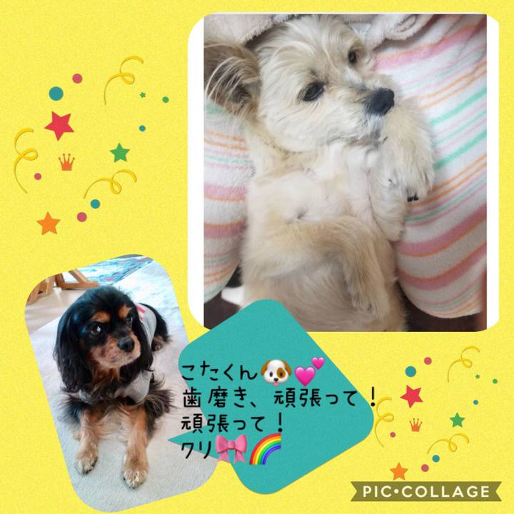 F5fce842 df4d 40b6 a27f 9ffac15326a8 1554593984823