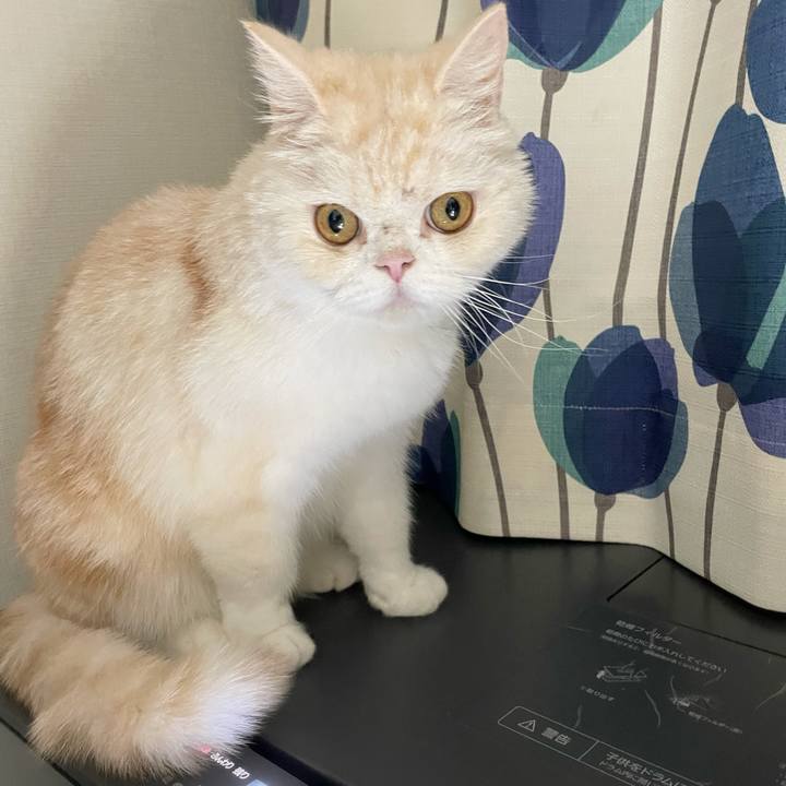 F5fd3377 e165 4eb7 a553 fdb714589abf 1764383978233