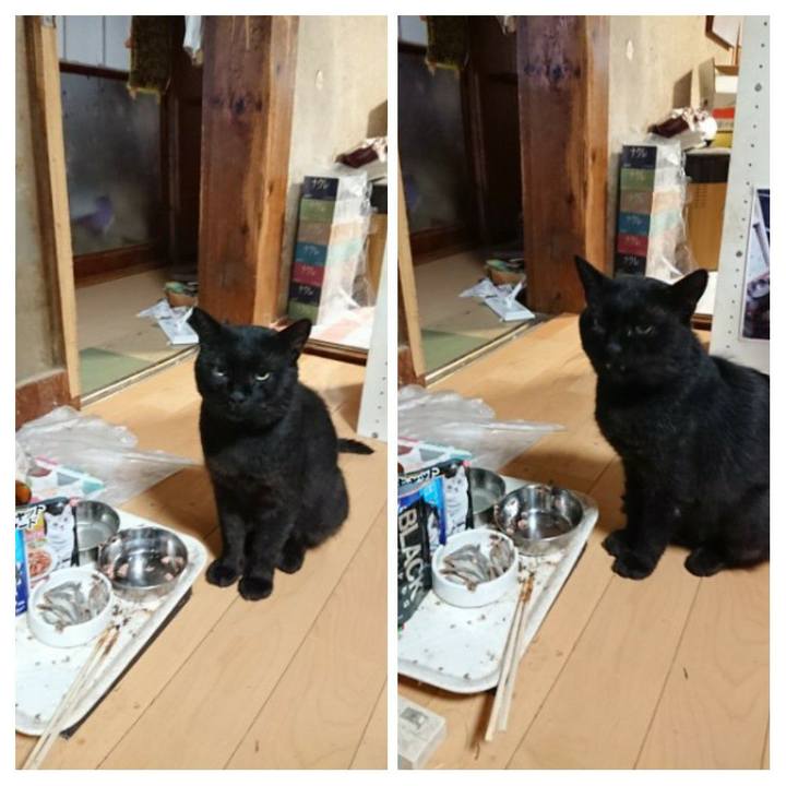 F5fd5ad6 bb70 498d 81d6 4088cd39120c 1627246032914