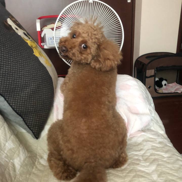 F5fd91a4 b004 44ae 92b4 d93e4c61a6f3 1569477414083