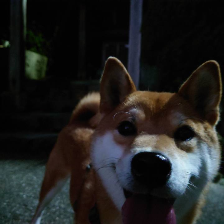 F5fdbbd1 3de6 4234 a3d5 320f7edba391 1762832540941