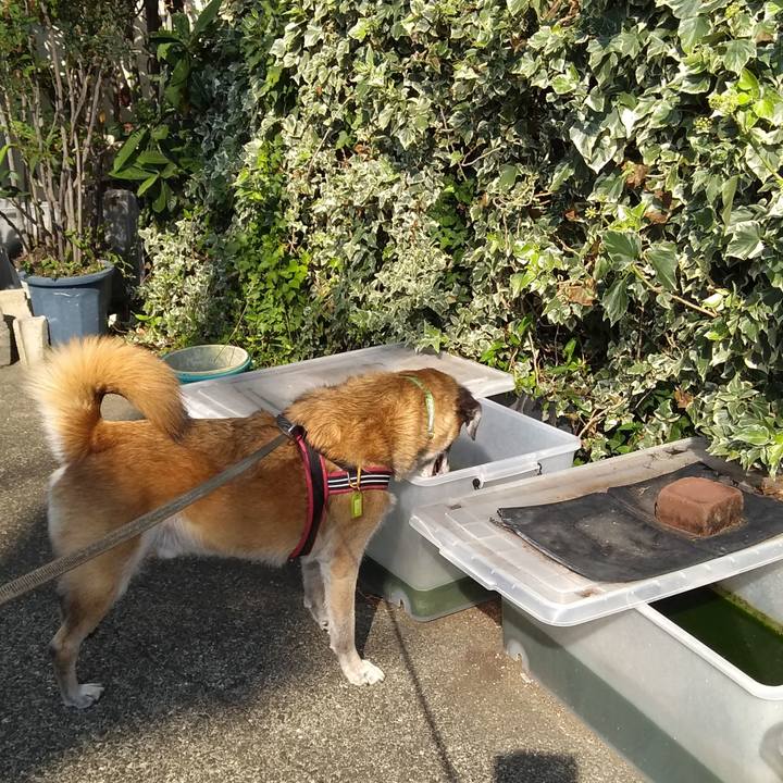 F5fdf5ac 141b 4eaa a919 9a0027c050a1 1569543248519