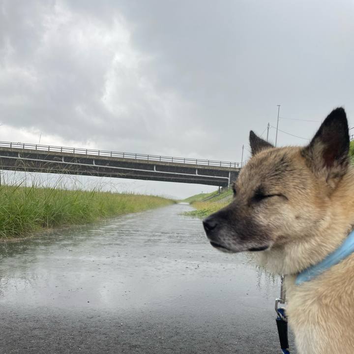 F5fe0a8e 3416 45bc 8bdd d7ed02eff3a4 1660992036943