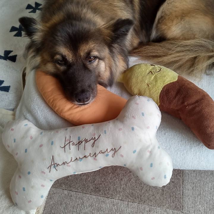 F5fe29eb f1be 4668 b31c 06d55e68d223 1762996723751