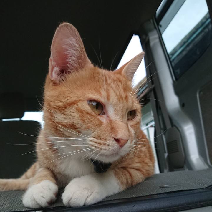 F5fe3f7f e1b0 496e b2f3 27934ed6f9b9 1566551744310