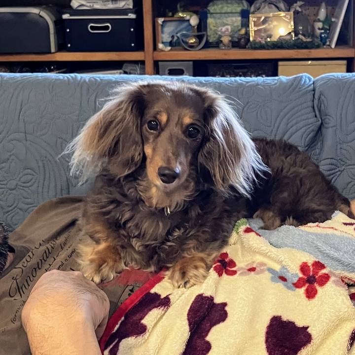 F5fe650a 0fa6 4077 950a 2c2c22e397fb 1729923927839