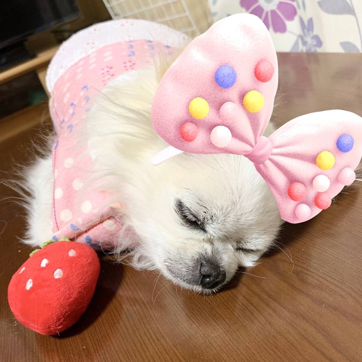 F5fe9f0c bece 4a64 a1d5 22b4cfcf307b 1643640971275