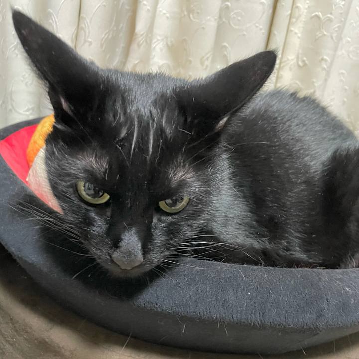 F5feb1b4 3a1c 4d2f b0e2 218ef8a86456 1712578071813