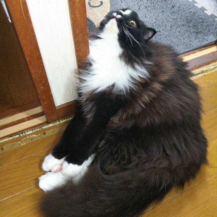 F5fef665 825e 4efd 96fe b36fa4152f7c 1657891885516