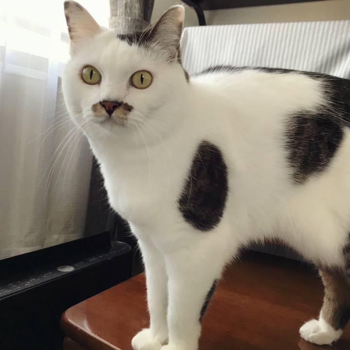 F5ff0d22 5ef5 4635 8eaf 0b220b8db84d 1572929940367