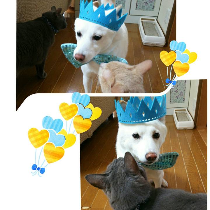 F5fff3ae fb6f 4b71 9b97 2adf9b8caee4 1562459600805