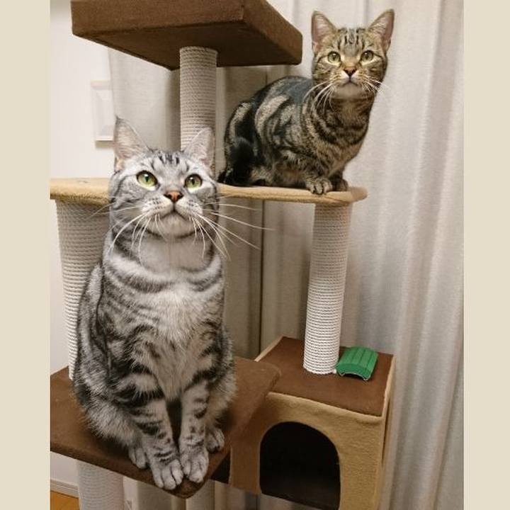 F60018ee 3348 4963 aa72 daa445ab422c 1513084937696