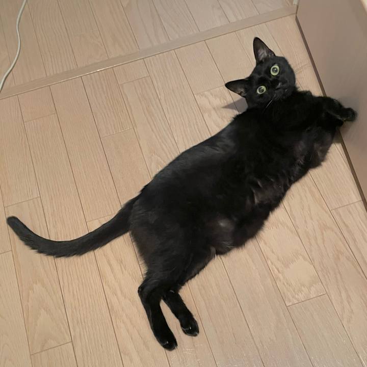 F60021d4 2cd4 4d22 a800 e1f5ed47aa8e 1724059864208