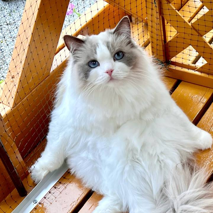 F60066a1 411f 4e31 a13d 3742365e770a 1719557667154