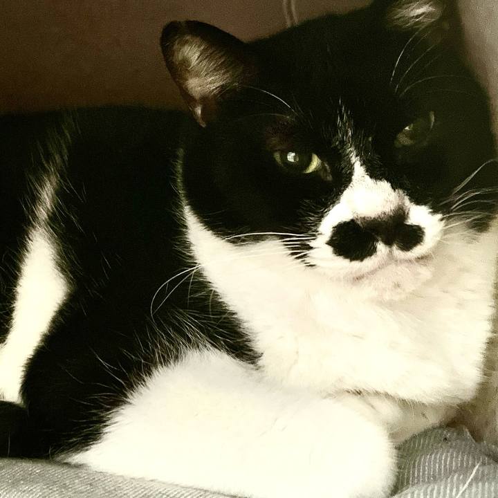 F60077bd a016 4969 9440 21fa97074786 1709097540528